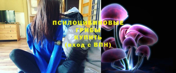 MDMA Богородицк