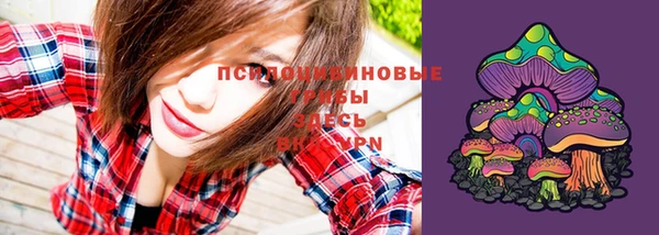 ПСИЛОЦИБИНОВЫЕ ГРИБЫ Богородск