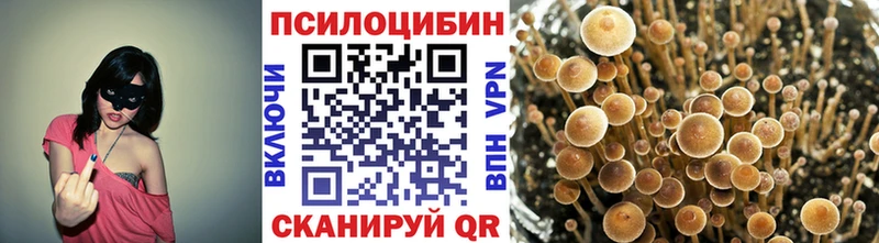 Купить закладки  Талдом  Галлюциногенные грибы MAGIC MUSHROOMS 